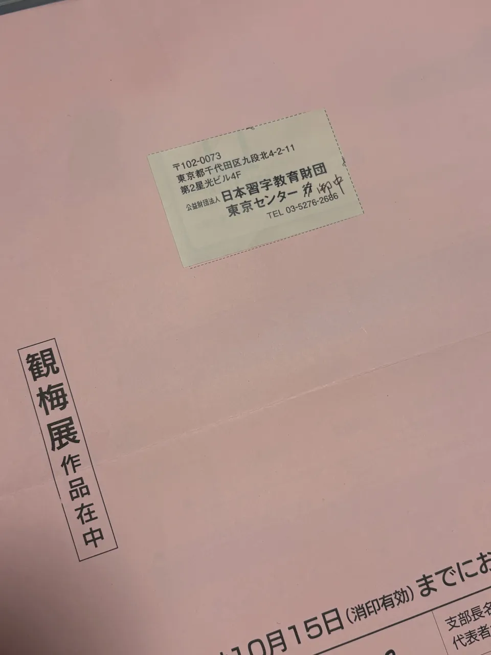 観梅展提出⭐︎